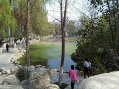 -莲湖公园