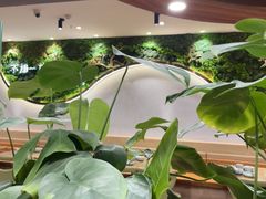 -云海肴汽锅鸡·云南小炒(曲江大悦城店)