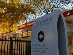-三里屯东五街银杏大道