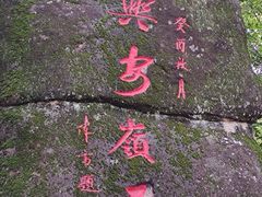 -汤旺河林海奇石景区