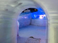 -世界之窗阿尔卑斯冰雪世界