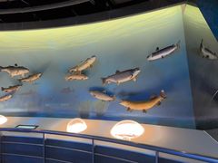 -陕西自然博物馆