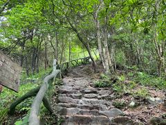 -梧桐山风景名胜区