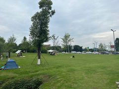 -桤木河湿地公园