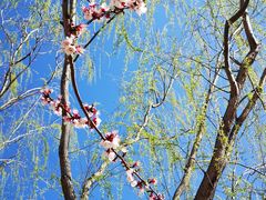 -永定河休闲森林公园