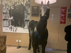 -苏浙总会(国金中心店)