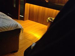 -江南足纪·影院足道·轻奢SPA(笋岗HALO广场店)