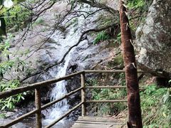 -东天目山风景区