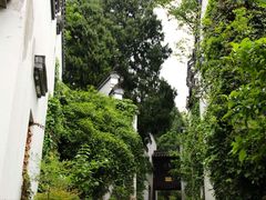 -梦姑塘文化公园