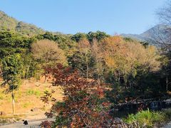 -广州市石门国家森林公园