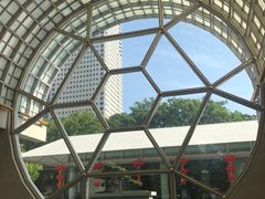 -新加坡丽思卡尔顿美年酒店