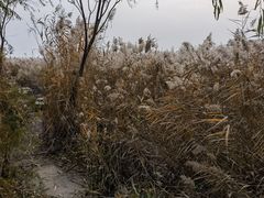 -绿堤公园