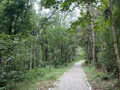 -青龙山国家森林公园