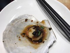 鲜活大扇贝-神洲四海大酒楼(王府井澳门中心店)