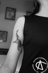 点击看大图 -AC TATTOO 纹身