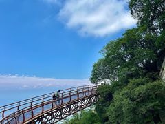 -少华山国家森林公园