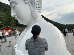 -庐山风景名胜区-东林大佛