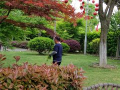 -卡漫莫尼蛋糕(徐汇店)