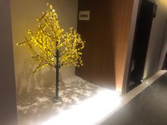 -圣和足道·瑶浴SPA·养生茶府(光华店)