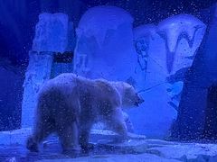 -上海海昌海洋公园