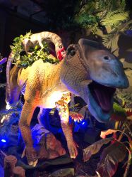 -恐龙探索乐园(磁器口店)