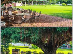 -侯臣咖啡文化村