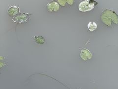 -东钱湖旅游度假区