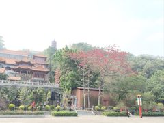 -南沙天后宫景区