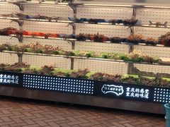 -江二娃串串香(科园四路总店)