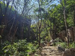 -大岭沟猕猴桃谷风景区