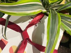 -哈根达斯(深圳海岸城店)