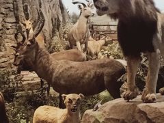 -陕西自然博物馆