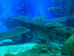 -福州罗源湾海洋世界旅游区