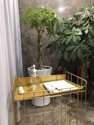 -酉嘉瑜伽YO+YOGA