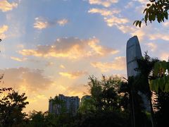 -荔枝公园(福田区)