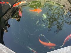 -西安市广仁寺