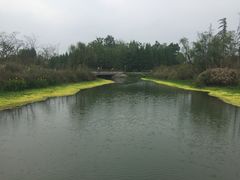 -桤木河湿地公园