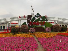 -石家庄市植物园