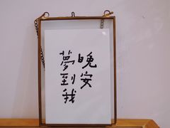 -猫里有甜