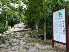 -北京鹫峰国家森林公园