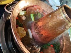 -陀岗美食·云南藏式特色餐厅