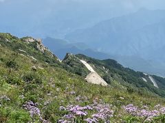 -白草畔自然风景区