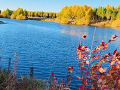 -塞罕坝国家级自然保护区