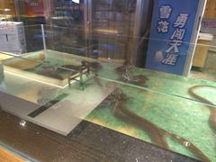 -洪湘记川湘·甲鱼馆(四海凯悦美食广场店)