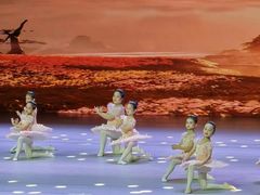-中央芭蕾舞团·中芭艺蕾(酒仙桥明星校区)