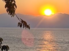 -湖景渔湾