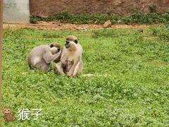 -南昌动物园