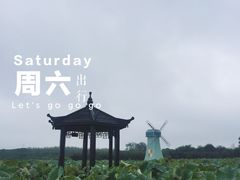 -武汉紫薇都市田园