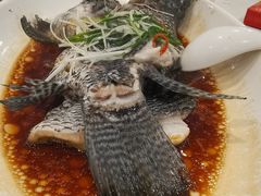 清蒸宝石斑鱼-海宝酒家(中山四路店)