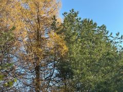 -本溪老边沟风景区